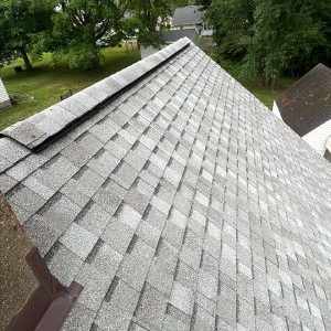 Home Roof Repairs