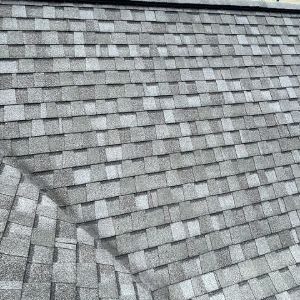 Residential Roof Maintenance Service