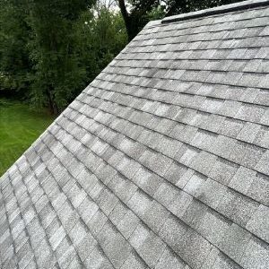 Roof Repair and Maintenance